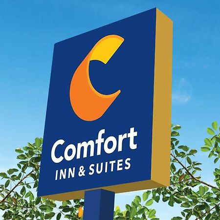 Comfort Inn & Suites Newark Liberty International Airport Ngoại thất bức ảnh